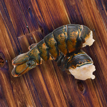 Load image into Gallery viewer, Raw lobster tails